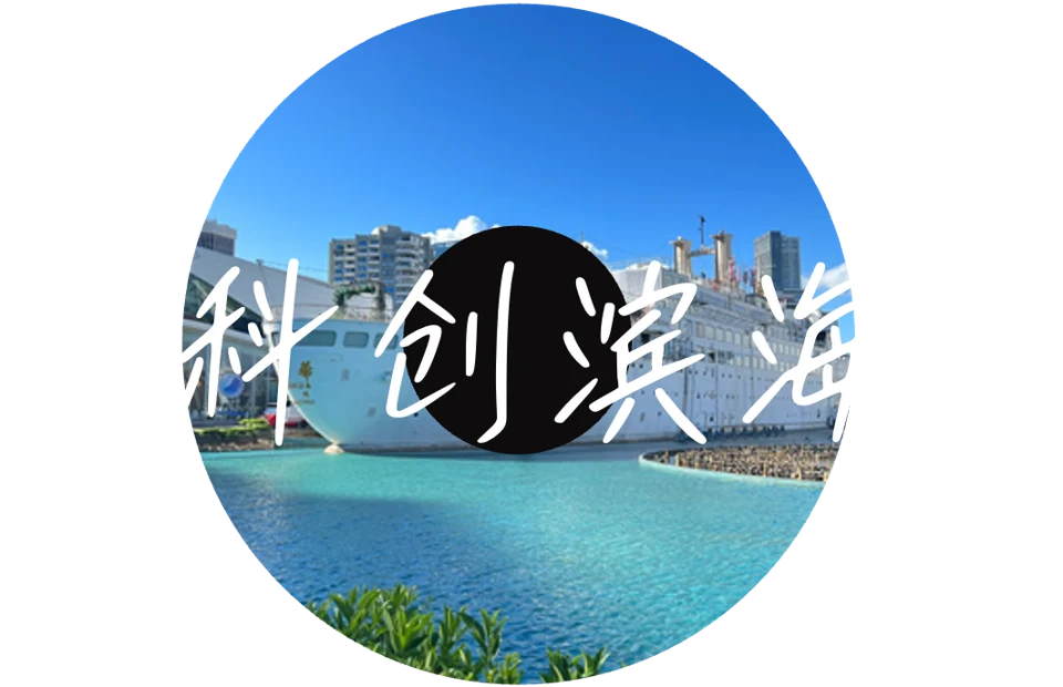 PPT原有深圳城市唱片主题图:科创滨海